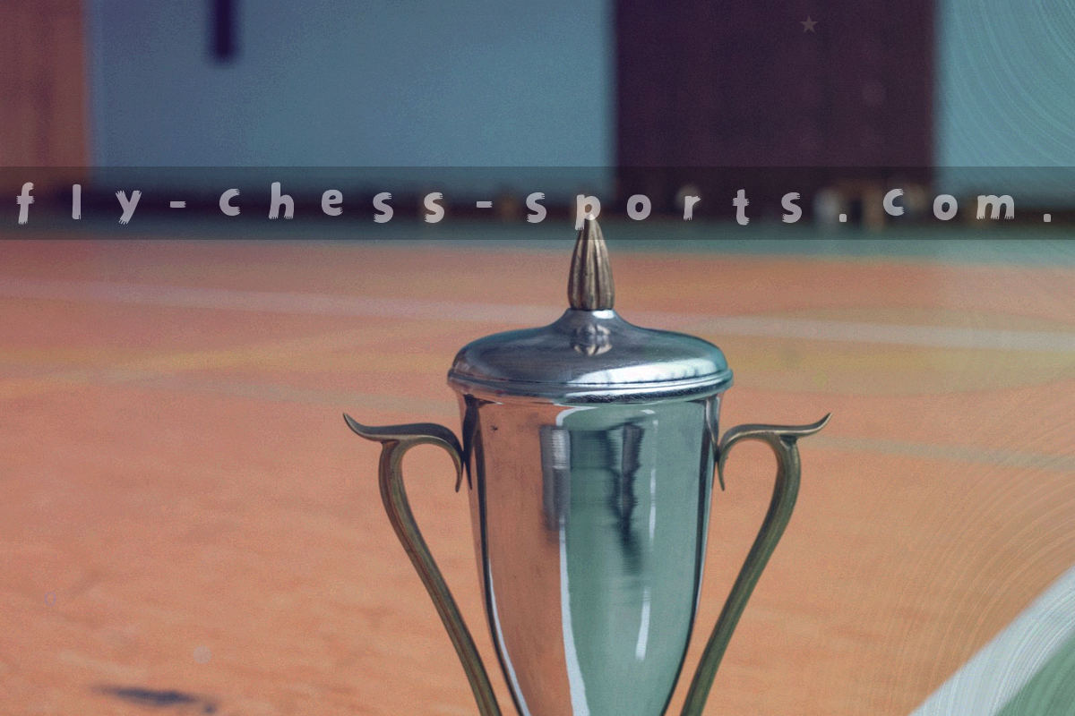 鸟形吉祥物从棋盘边缘起飞，留下青绿与暖金的飞行轨迹